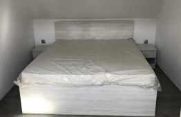 Casa individuala cu gradina, parcare, zona Grigorescu
