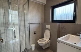 Casa de inchiriat, cu 3 camere, 110 mp, curte de 140 mp, zona Europa