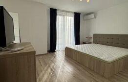 Casa de inchiriat, cu 3 camere, 110 mp, curte de 140 mp, zona Europa