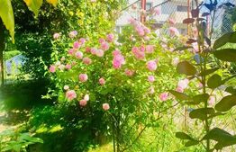 Casa individuala, 130mp utili, 434 teren, garaj, Zorilor!