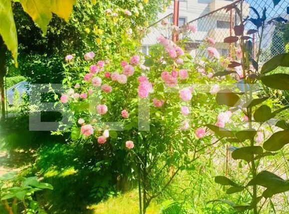 Casa de vânzare 4 camere Zorilor - 165773CV | BLITZ Cluj-Napoca | Poza5