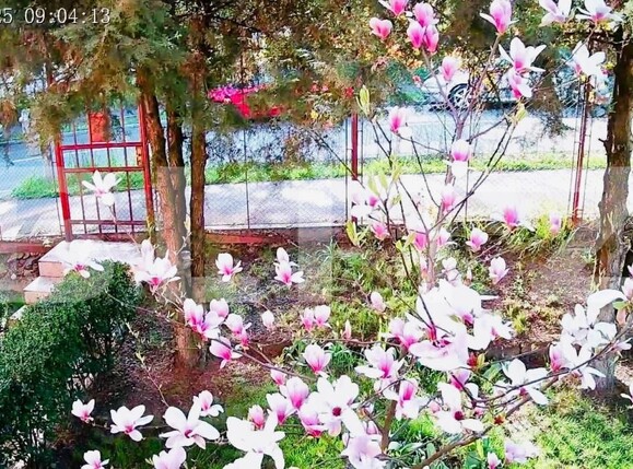 Casa de vânzare 4 camere Zorilor - 165773CV | BLITZ Cluj-Napoca | Poza6