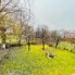 Casa de vânzare 4 camere Zorilor - 165773CV - Poza 1 din 20 | BLITZ Cluj-Napoca | Poza3