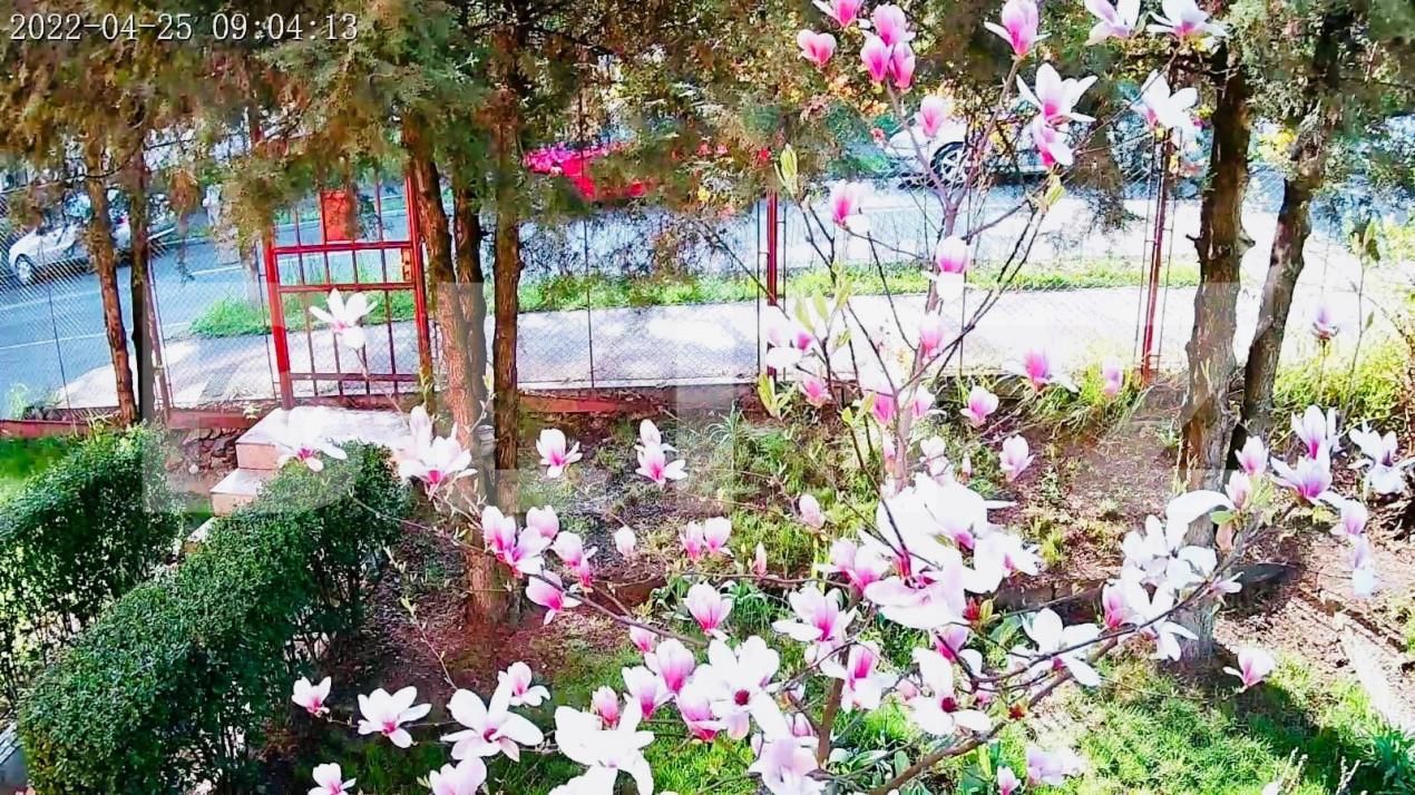 Casa de vânzare 4 camere Zorilor - 165773CV | BLITZ Cluj-Napoca | Poza6