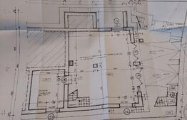 Oportunitate de investiție! Casă de vanzare, cu 8 camere, 382 mp, zona Gruia
