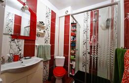 Apartament de vanzare, cu 2 camere, 48 mp, zona Sannicoara