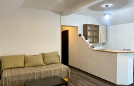 Apartament cu 3 camere la casa, 55 mp, parcare, pet friendly, zona Marasti