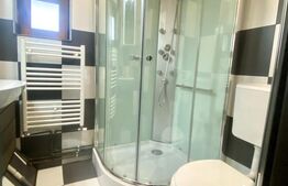 Apartament cu 3 camere la casa, 55 mp, parcare, pet friendly, zona Marasti