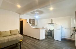 Apartament cu 3 camere la casa, 55 mp, parcare, pet friendly, zona Marasti