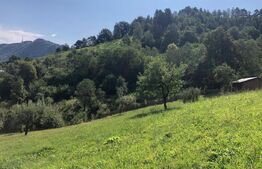 De vanzare teren unic in Brasov (vedere panoramica asupra orasului)