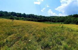 Teren intravilan 700mp,panorama splendida,zona Wonderland