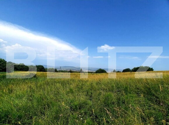 Teren de vânzare Feleacu - 165941TV | BLITZ Cluj-Napoca | Poza13