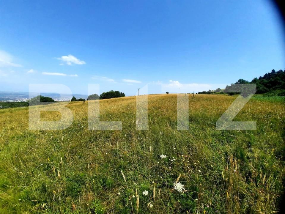 Teren de vânzare Feleacu - 165941TV | BLITZ Cluj-Napoca | Poza11