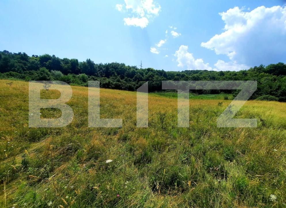 Teren de vânzare Feleacu - 165941TV | BLITZ Cluj-Napoca | Poza12