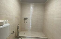 Casa de vanzare, 5 camere, 170 mp, mobilata la cheie, zona Dezmir