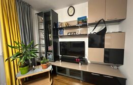 Apartament de vanzare, complet renovat – zona Gemenii