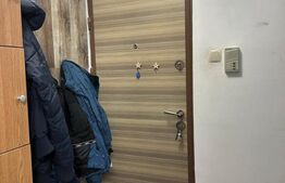 Apartament de vanzare, complet renovat – zona Gemenii