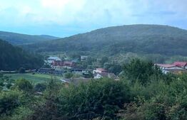 Apartament la vilă, 3 camere, 82 mp, 5 balcoane, 3 bai, parcare, zona Vivo