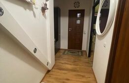 Apartament cu o camera, la cheie, 49 mp, zona Plevnei