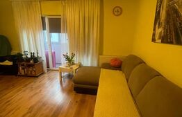 Apartament cu o camera, la cheie, 49 mp, zona Plevnei
