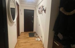 Apartament cu o camera, la cheie, 49 mp, zona Plevnei