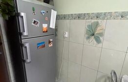 Apartament cu o camera, la cheie, 49 mp, zona Plevnei