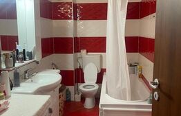 Apartament cu o camera, la cheie, 49 mp, zona Plevnei