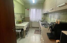 Apartament cu o camera, la cheie, 49 mp, zona Plevnei