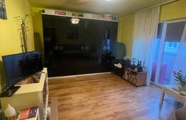 Apartament cu o camera, la cheie, 49 mp, zona Plevnei