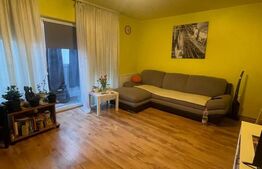Apartament cu o camera, la cheie, 49 mp, zona Plevnei