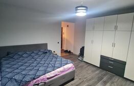 Apartament decomandat, pod, parcare, langa Spartan si Profi, zona Eroilor