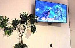 Apartament cu 3 camere, modern, parter inalt, balcon , parcare, zona Cetatii