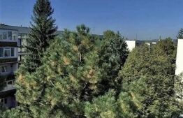 Apartament de inchiriat, 2 camere, 62 mp, zona Andrei Muresanu