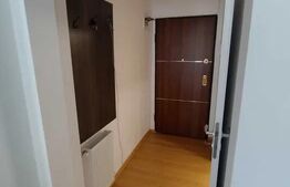 Apartament mobilat modern cu 1 camera, 35 mp, PET FRIENDLY , Cartierul Borhanci 