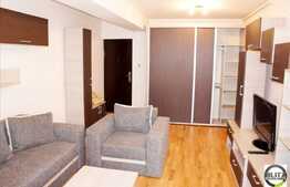 1 camera 46 mp, imobil nou, mobilat modern, parcare, Zona Parcului Babes