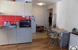Vanzare apartament 2 camere, 45 mp, garaje, boxa, zona strazii Campului