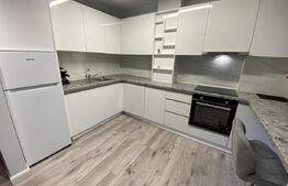 Apartament  modern 2 camere, 46 mp, 30 mp terasa, parcare subterana, zona Vivo