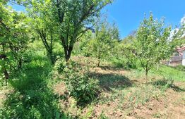 Casa 6 camere, Manastur, garaj dublu, posibilitate gradinita sau clinica