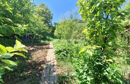 Casa 6 camere, Manastur, garaj dublu, posibilitate gradinita sau clinica