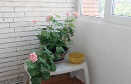 3 camere, 76 mp, decomandat, mobilat complet, parcare, zona Piata Cipariu