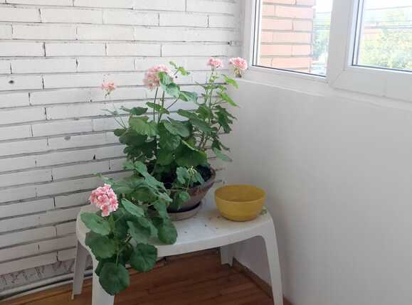 Apartament de închiriat 3 camere Central - 16616AI | BLITZ Cluj-Napoca | Poza19