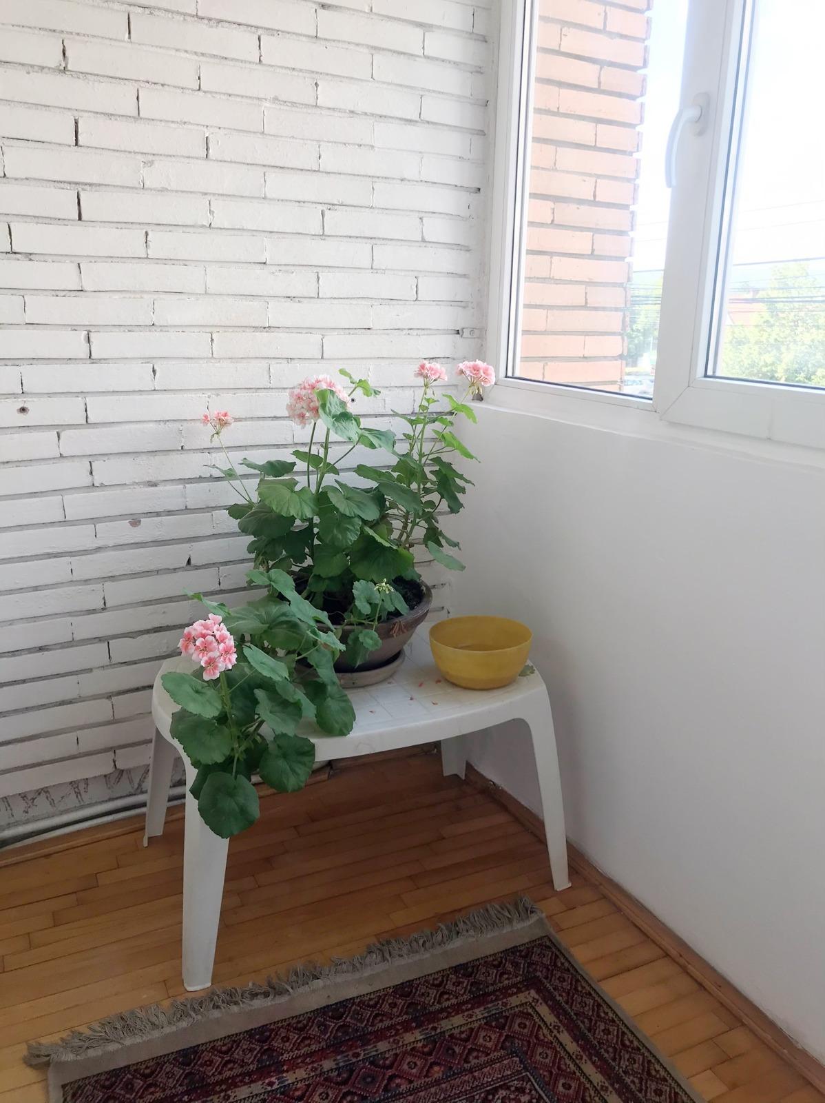 Apartament de închiriat 3 camere Central - 16616AI | BLITZ Cluj-Napoca | Poza19