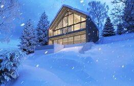 Cabana moderna, 6 camere, 400 mp, zona Muntele Rece