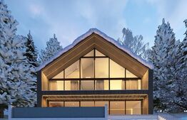 Cabana moderna, 6 camere, 400 mp, zona Muntele Rece