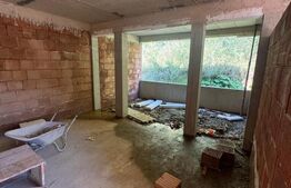 Cabana moderna, 6 camere, 400 mp, zona Muntele Rece