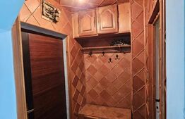 Apartament de vanzare, cu o camera, 24 mp, zona Parcul Armatura