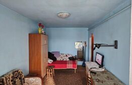 Apartament de vanzare, cu o camera, 24 mp, zona Parcul Armatura