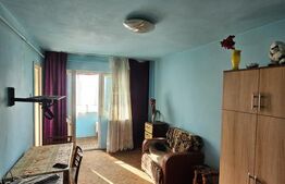 Apartament de vanzare, cu o camera, 24 mp, zona Parcul Armatura