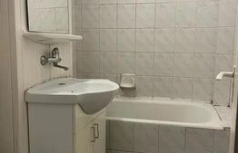 Apartament de vanzare, cu o camera, 23 mp, etaj intermediar, zona Marasti