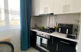 Garsoniera de vanzare, 21 mp, la cheie, zona Corneliu Coposu